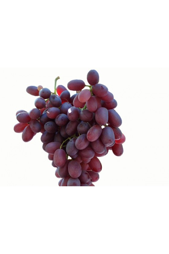 Uva Crimson Seedless