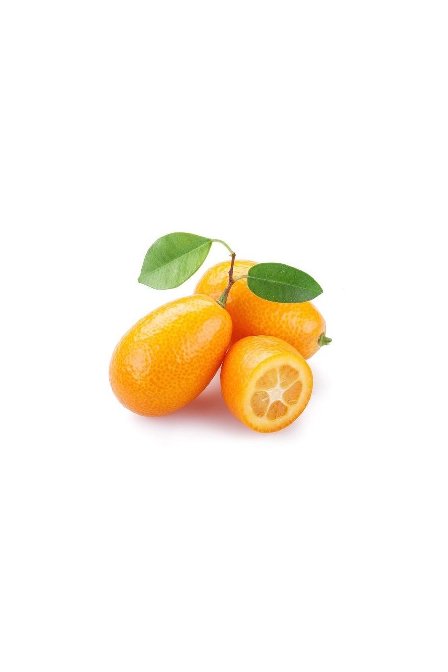 Kumquat (mandarino cinese)