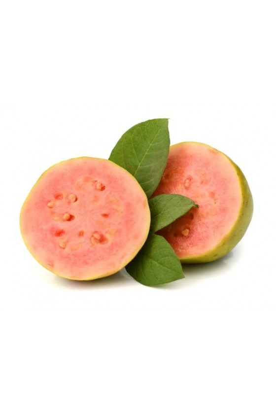 Guava rosa (Guayaba)